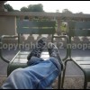imagebam.com